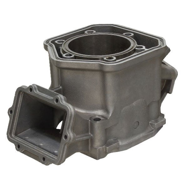 SPX ENGINE CYLINDER (SM - 09608) - DRIVEN Canada's Powersports SM - 09608
