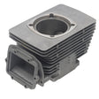 SPX ENGINE CYLINDER (SM - 09609) - DRIVEN Canada's Powersports SM - 09609
