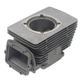 SPX ENGINE CYLINDER (SM - 09610) - DRIVEN Canada's Powersports SM - 09610