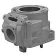 SPX ENGINE CYLINDER (SM - 09615) - DRIVEN Canada's Powersports SM - 09615