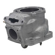 SPX ENGINE CYLINDER (SM - 09616) - DRIVEN Canada's Powersports SM - 09616