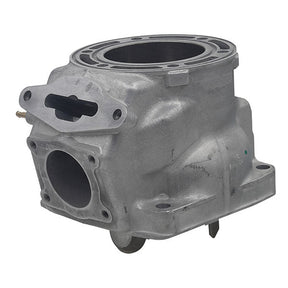 SPX ENGINE CYLINDER (SM - 09616) - DRIVEN Canada's Powersports SM - 09616