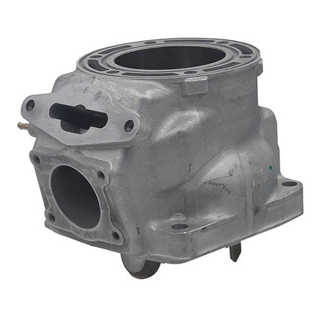 SPX ENGINE CYLINDER (SM - 09616) - DRIVEN Canada's Powersports SM - 09616
