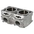 SPX ENGINE CYLINDER (SM - 09618) - DRIVEN Canada's Powersports SM - 09618
