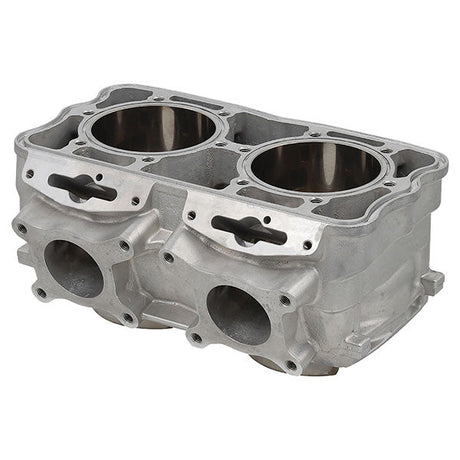 SPX ENGINE CYLINDER (SM - 09618) - DRIVEN Canada's Powersports SM - 09618