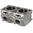 SPX ENGINE CYLINDER (SM - 09619) - DRIVEN Canada's Powersports SM - 09619