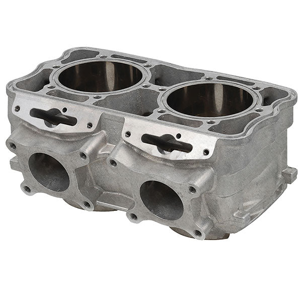 SPX ENGINE CYLINDER (SM - 09619) - DRIVEN Canada's Powersports SM - 09619