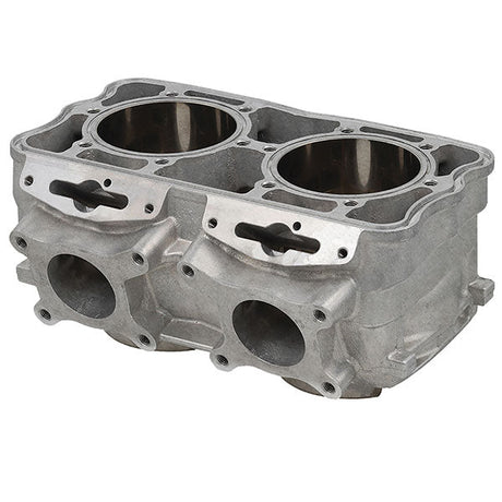 SPX ENGINE CYLINDER (SM - 09619) - DRIVEN Canada's Powersports SM - 09619