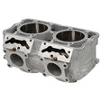 SPX ENGINE CYLINDER (SM - 09620) - DRIVEN Canada's Powersports SM - 09620