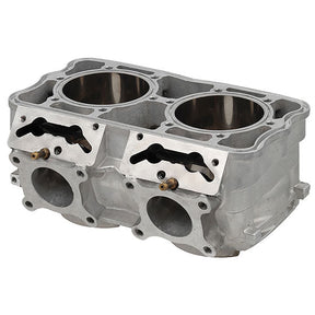 SPX ENGINE CYLINDER (SM - 09620) - DRIVEN Canada's Powersports SM - 09620