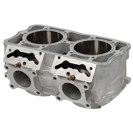 SPX ENGINE CYLINDER (SM - 09620) - DRIVEN Canada's Powersports SM - 09620