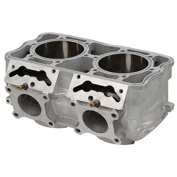 SPX ENGINE CYLINDER (SM - 09620) - DRIVEN Canada's Powersports SM - 09620