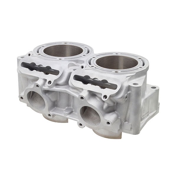 SPX ENGINE CYLINDER (SM - 09621) - DRIVEN Canada's Powersports SM - 09621