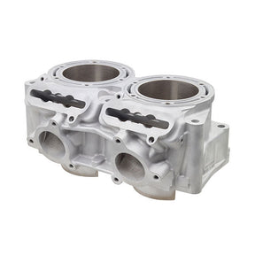 SPX ENGINE CYLINDER (SM - 09621) - DRIVEN Canada's Powersports SM - 09621