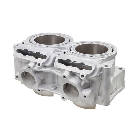 SPX ENGINE CYLINDER (SM - 09621) - DRIVEN Canada's Powersports SM - 09621