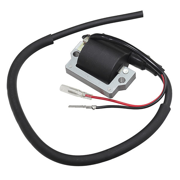 SPX IGNITION COIL (01 - 143 - 01) - DRIVEN Canada's Powersports 68257702607401 - 143 - 01