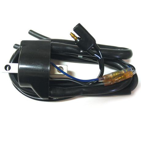 SPX IGNITION COIL (01 - 143 - 120) - DRIVEN Canada's Powersports 68257702606701 - 143 - 120