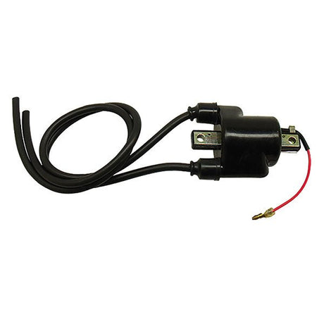 SPX IGNITION COIL (01 - 143 - 14) - DRIVEN Canada's Powersports 68257702632601 - 143 - 14