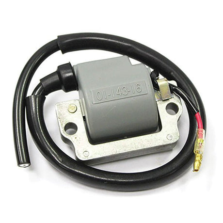 SPX IGNITION COIL (01 - 143 - 16) - DRIVEN Canada's Powersports 68257702630201 - 143 - 16