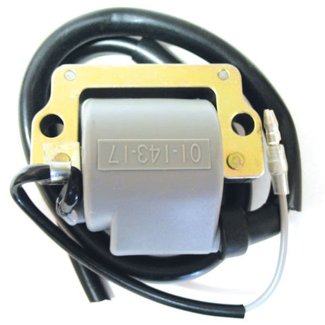 SPX IGNITION COIL (01 - 143 - 17) - DRIVEN Canada's Powersports 68257702631901 - 143 - 17