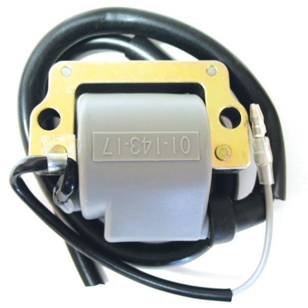 SPX IGNITION COIL (01 - 143 - 17) - DRIVEN Canada's Powersports 68257702631901 - 143 - 17