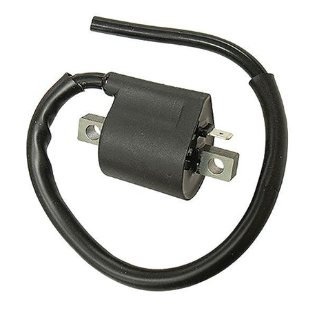 SPX IGNITION COIL (01 - 143 - 52) - DRIVEN Canada's Powersports 68257702634001 - 143 - 52