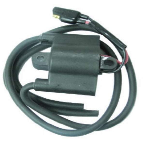 SPX IGNITION COIL (01 - 143 - 53) - DRIVEN Canada's Powersports 68257702609801 - 143 - 53