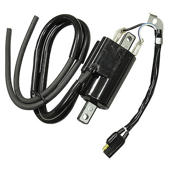 SPX IGNITION COIL (01 - 143 - 55) - DRIVEN Canada's Powersports 68257702619701 - 143 - 55