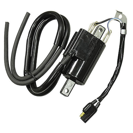 SPX IGNITION COIL (01 - 143 - 55) - DRIVEN Canada's Powersports 68257702619701 - 143 - 55