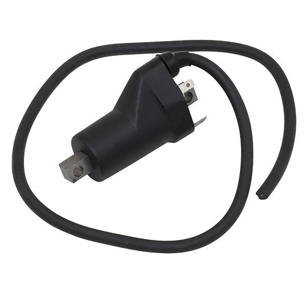 SPX IGNITION COIL (01 - 143 - 61) - DRIVEN Canada's Powersports 68257702610401 - 143 - 61