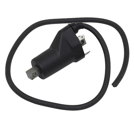 SPX IGNITION COIL (01 - 143 - 61) - DRIVEN Canada's Powersports 68257702610401 - 143 - 61