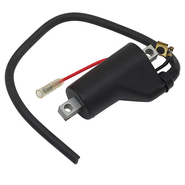 SPX IGNITION COIL (01 - 143 - 67) - DRIVEN Canada's Powersports 68257702641801 - 143 - 67