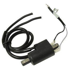 SPX IGNITION COIL (01 - 143 - 70) - DRIVEN Canada's Powersports 68257702621001 - 143 - 70