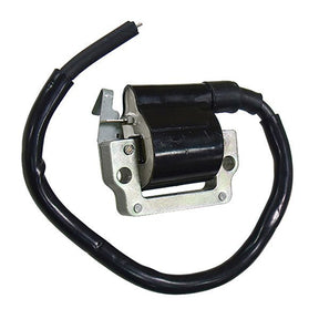 SPX IGNITION COIL (01 - 143 - 71) - DRIVEN Canada's Powersports 68257702622701 - 143 - 71