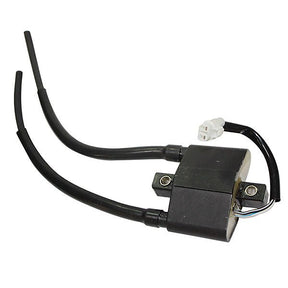 SPX IGNITION COIL (SM - 01162) - DRIVEN Canada's Powersports 682577026135SM - 01162