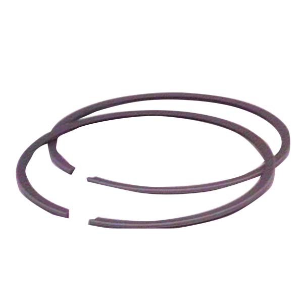 SPX PISTON RING (09 - 687R) - DRIVEN Canada's Powersports 68257701811609 - 687R