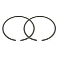 SPX PISTON RING (09 - 695 - 02R) - DRIVEN Canada's Powersports 68257701805509 - 695 - 02R