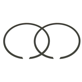 SPX PISTON RING (09 - 695 - 02R) - DRIVEN Canada's Powersports 68257701805509 - 695 - 02R