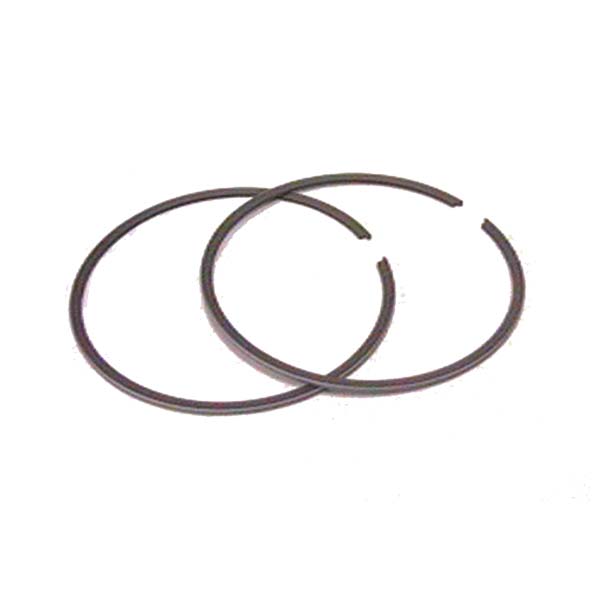 SPX PISTON RING (09 - 695R) - DRIVEN Canada's Powersports 68257701804809 - 695R
