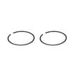 SPX PISTON RING (09 - 713R) - DRIVEN Canada's Powersports 68257702171009 - 713R