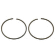 SPX PISTON RING (09 - 742R) - DRIVEN Canada's Powersports 68257701942709 - 742R