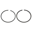 SPX PISTON RING (09 - 751 - 02R) - DRIVEN Canada's Powersports 68257701950209 - 751 - 02R