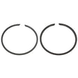 SPX PISTON RING (09 - 751 - 04R) - DRIVEN Canada's Powersports 68257701951909 - 751 - 04R