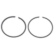 SPX PISTON RING (09 - 761R) - DRIVEN Canada's Powersports 68257701960109 - 761R