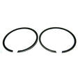 SPX PISTON RING (09 - 773R) - DRIVEN Canada's Powersports 68257701980909 - 773R