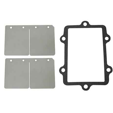 SPX REED VALVE REBUILD KIT (SM - 07152C) - DRIVEN Canada's Powersports SM - 07152C
