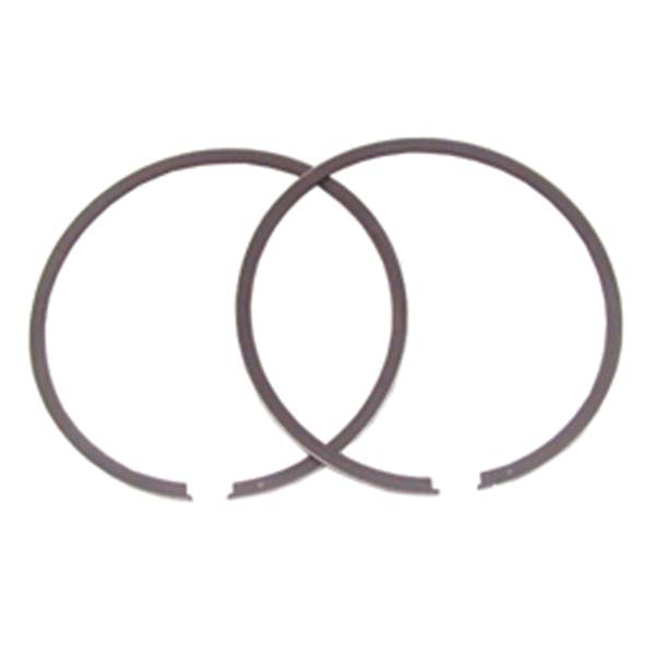 SPX REPLACEMENT PISTON RING (09 - 679R) - DRIVEN Canada's Powersports 68257701819209 - 679R