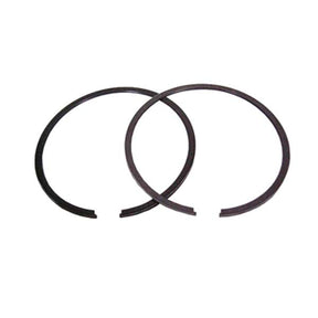 SPX REPLACEMENT PISTON RING (09 - 731R) - DRIVEN Canada's Powersports 68257702191809 - 731R