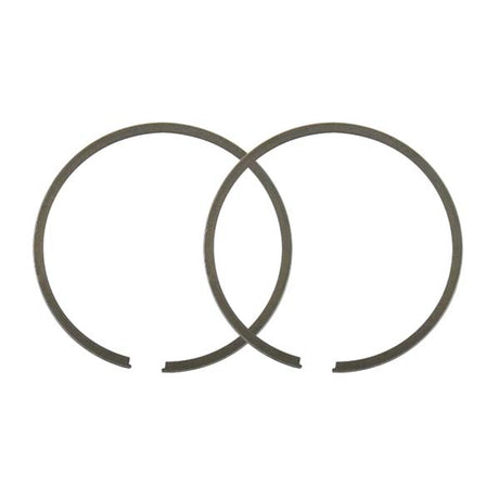 SPX REPLACEMENT PISTON RING (SM - 09165R) - DRIVEN Canada's Powersports 682577021925SM - 09165R