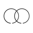 SPX REPLACEMENT PISTON RING (SM - 09247R) - DRIVEN Canada's Powersports SM - 09247R